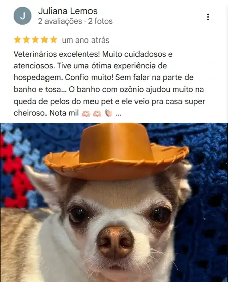 Avaliação real de tutor no Google