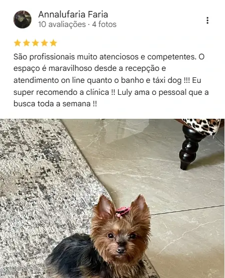 Avaliação real de tutor no Google