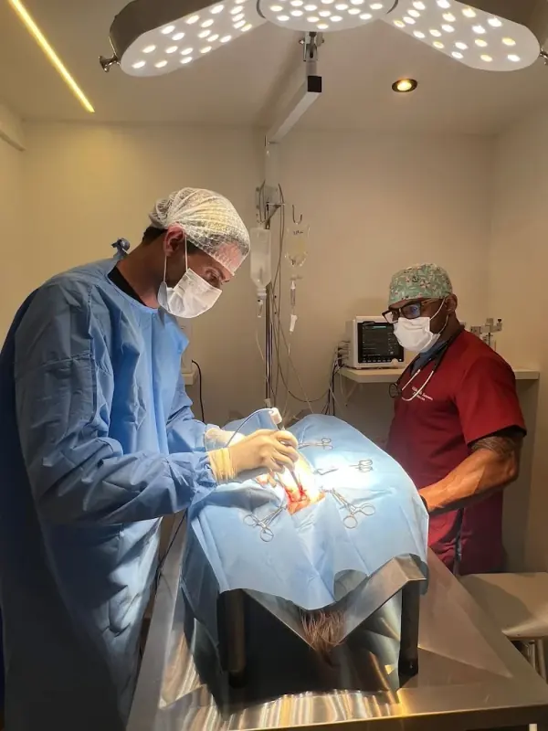Equipe da Prime Vet em uma cirurgia